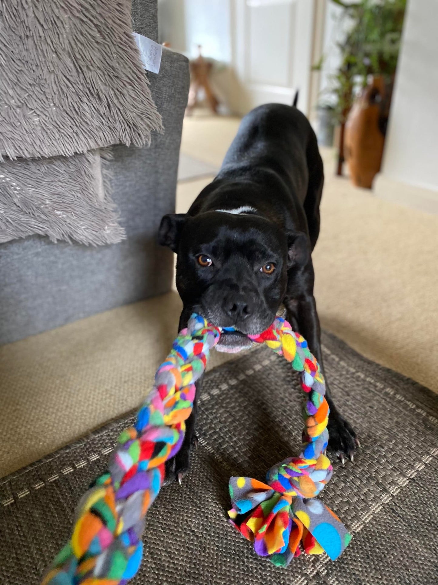 Snuffle Tug - Snuffle Monsters