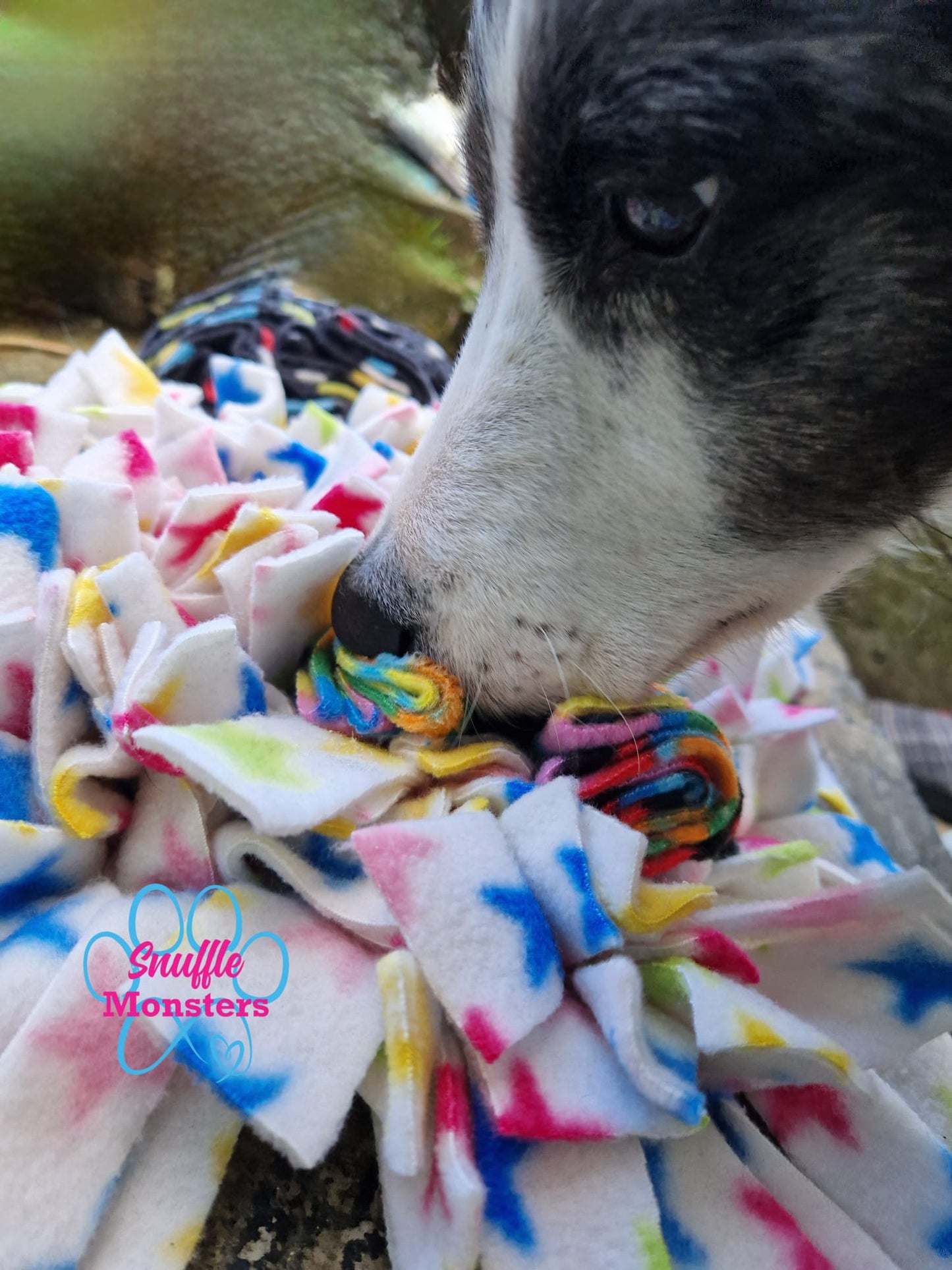 Snuffle Monsters Multi Mat with border collie, side view