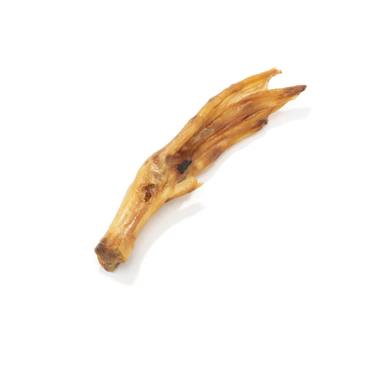 Duck Feet - Snuffle Monsters