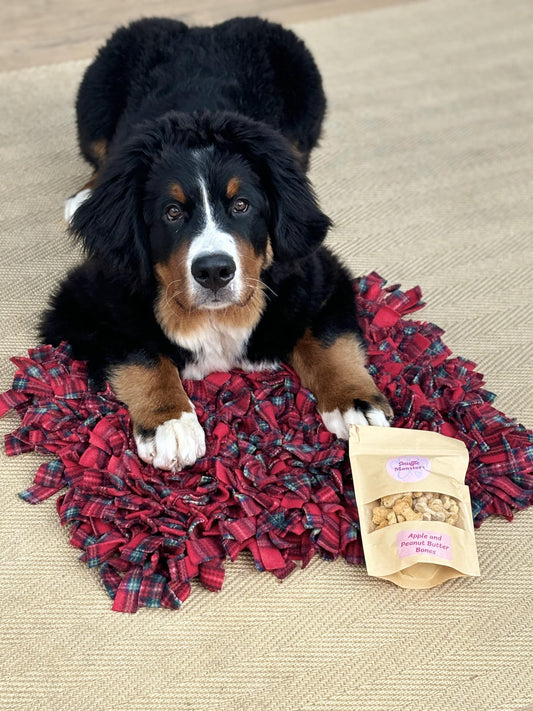 Snuffle Mat