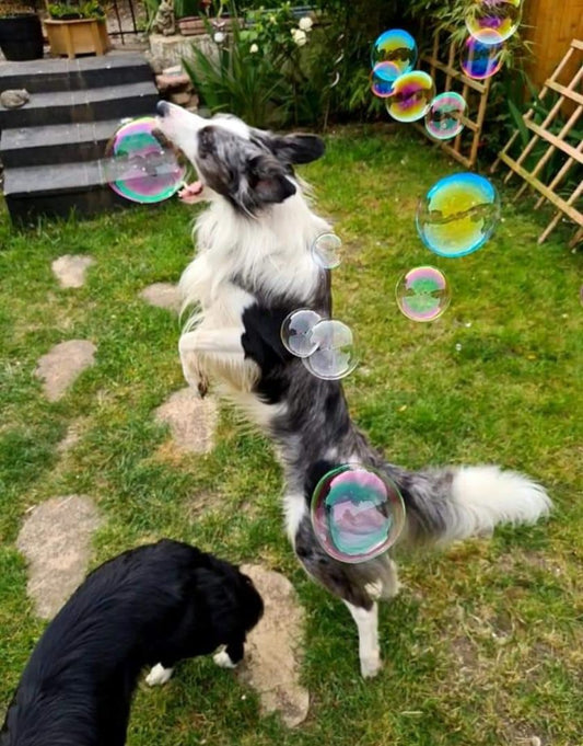 Meaty Bubbles 150ml - Snuffle Monsters