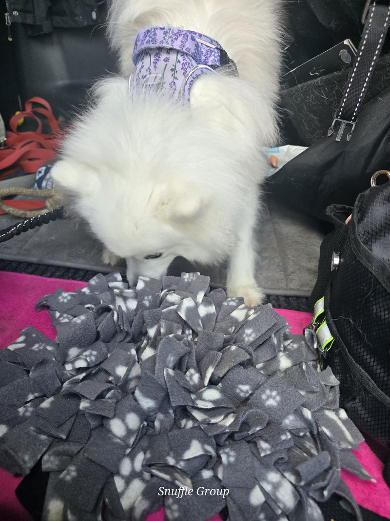 Small white dog wearing a purple harness on top of a gray snuffle mat.