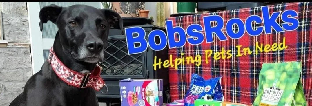 Bob from Bobsrocks 